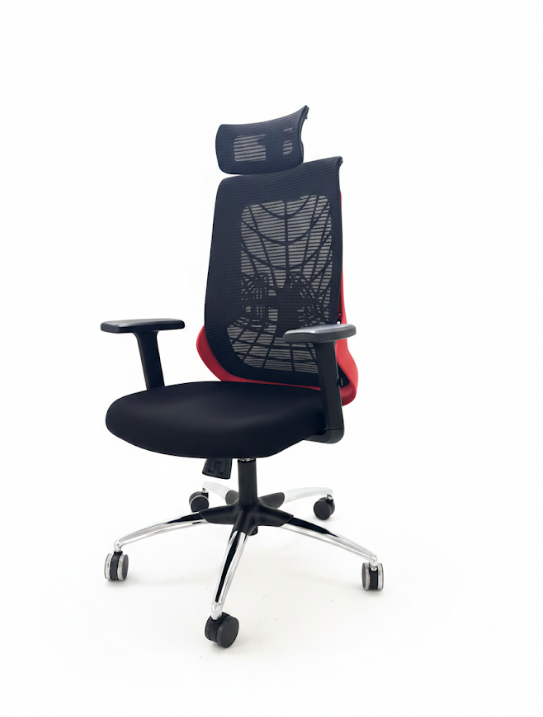 spider spider