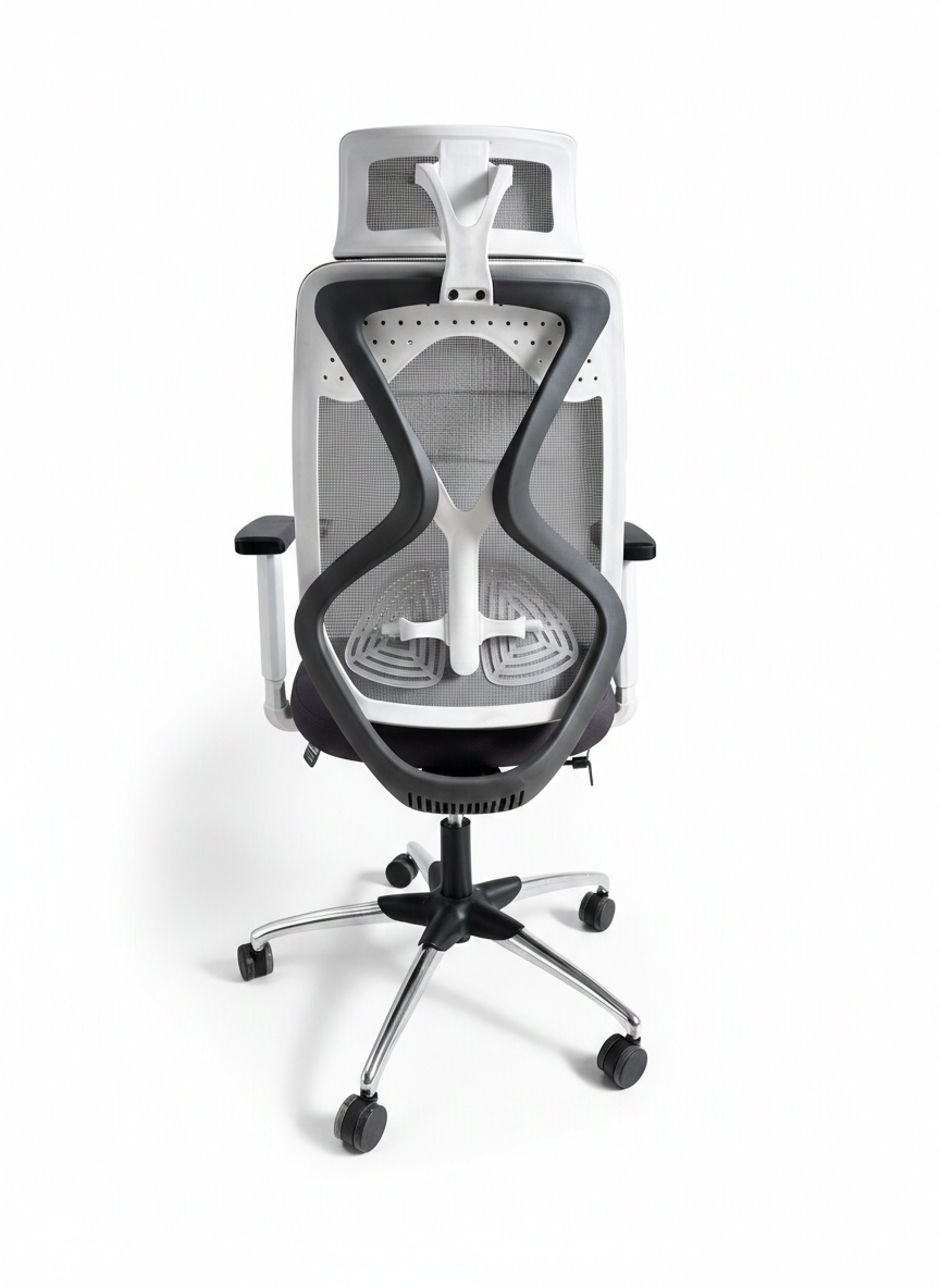 spinal mesh back spinal mesh back